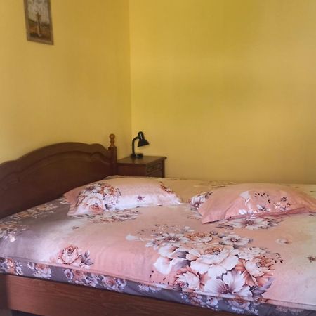 Harmonia Studio Apartman Brassó Kültér fotó