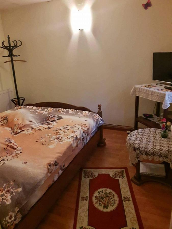Harmonia Studio Apartman Brassó Kültér fotó