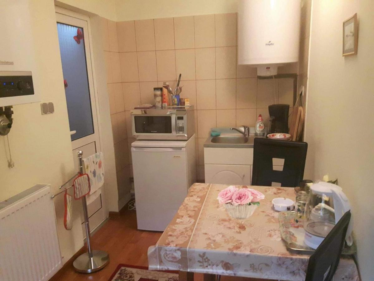 Harmonia Studio Apartman Brassó Kültér fotó